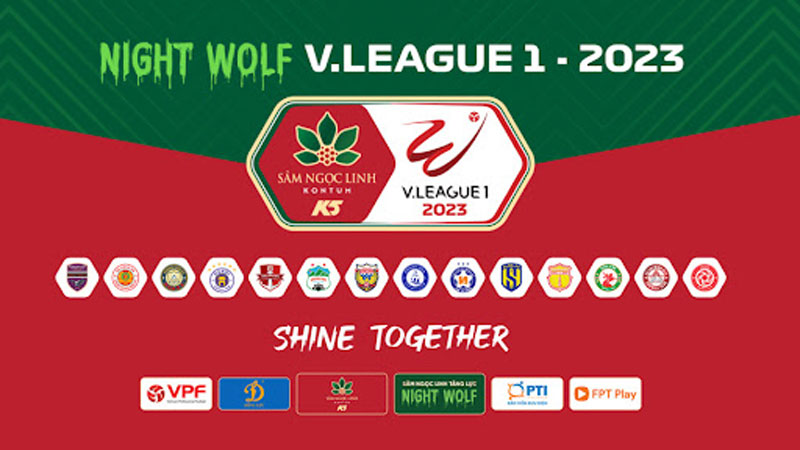 Đôi Nét Về Giải Đấu V League - Giải Hạng Nhất Việt Nam